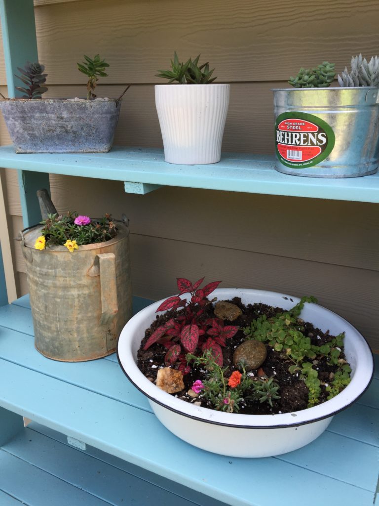 DIY farmhouse style planter enamelware on a blue shelf outside.