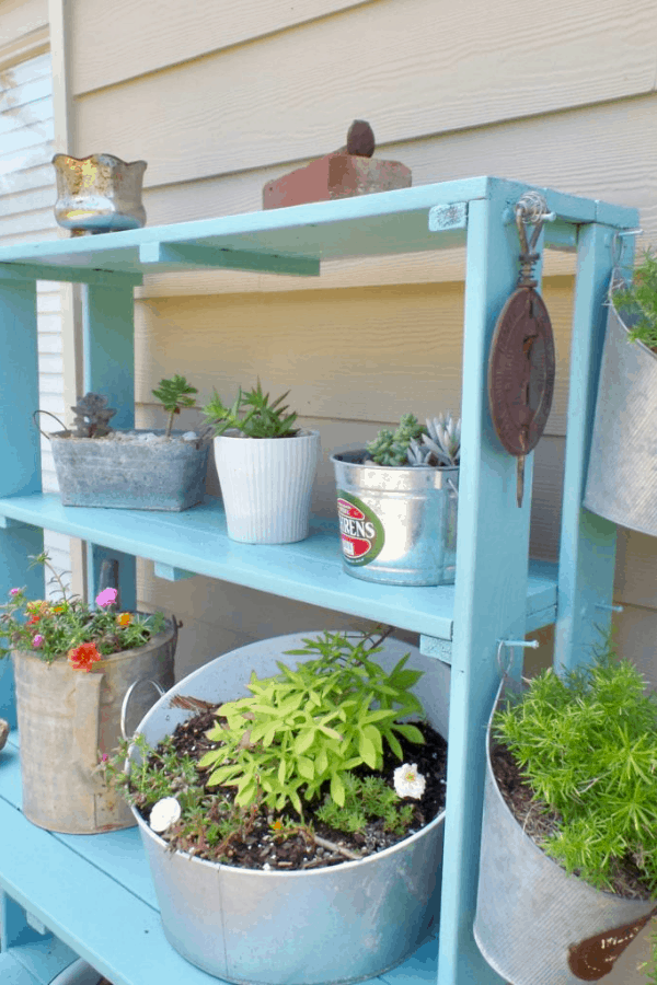 After picture of a plant shelf makeover painted teal with various potted plants and flowers on the shelves.