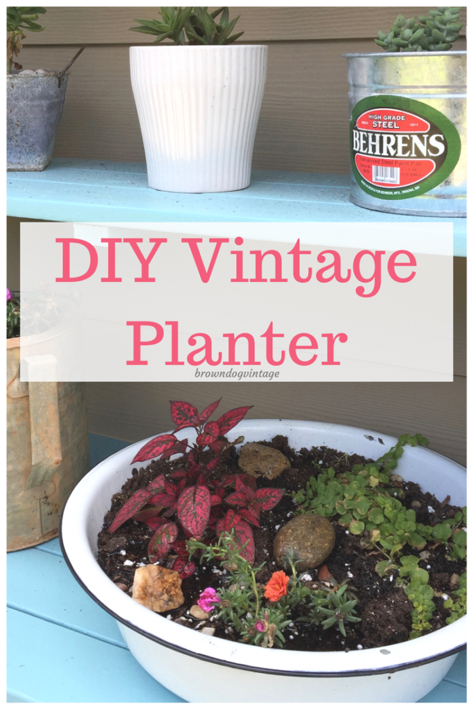 Pinterest graphic with text that reads \"DIY Vintage Planter\" and a picture of a large white planter with various plants growing in dark soil.