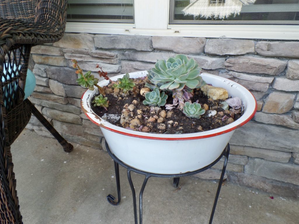 DIY farmhouse-style enamelware planter on a black stand with succulents growing inside.