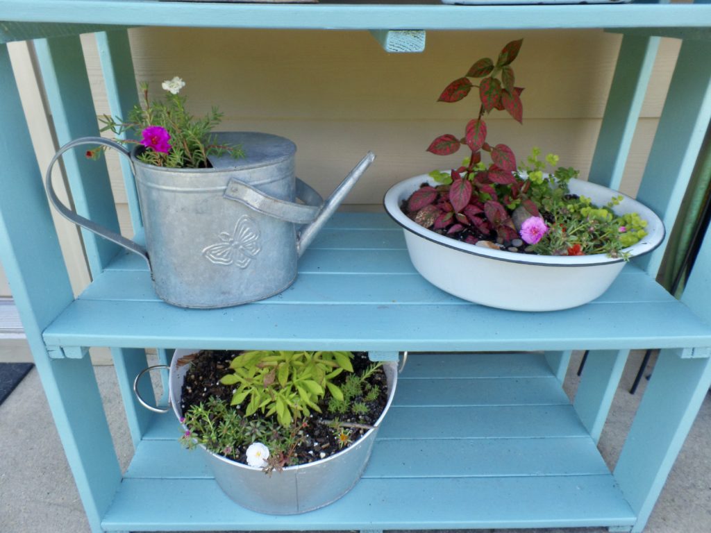 DIY planter from enamelware bowl on a blue shelf outside.