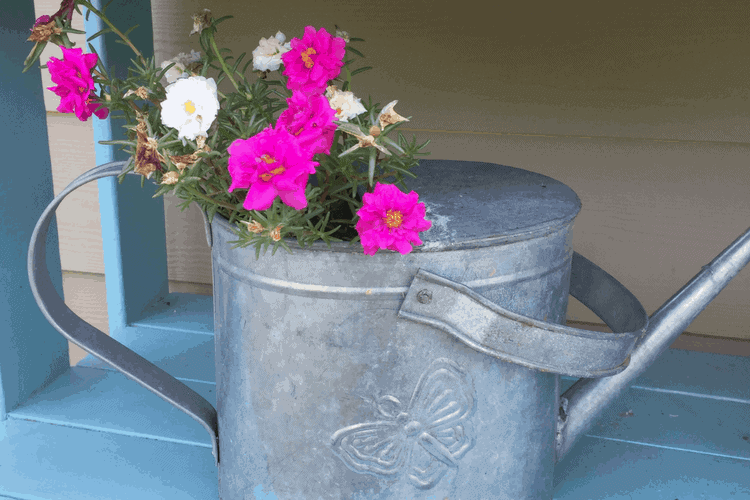 A metal watering can with pink and white flowers inside on a blue shelf.