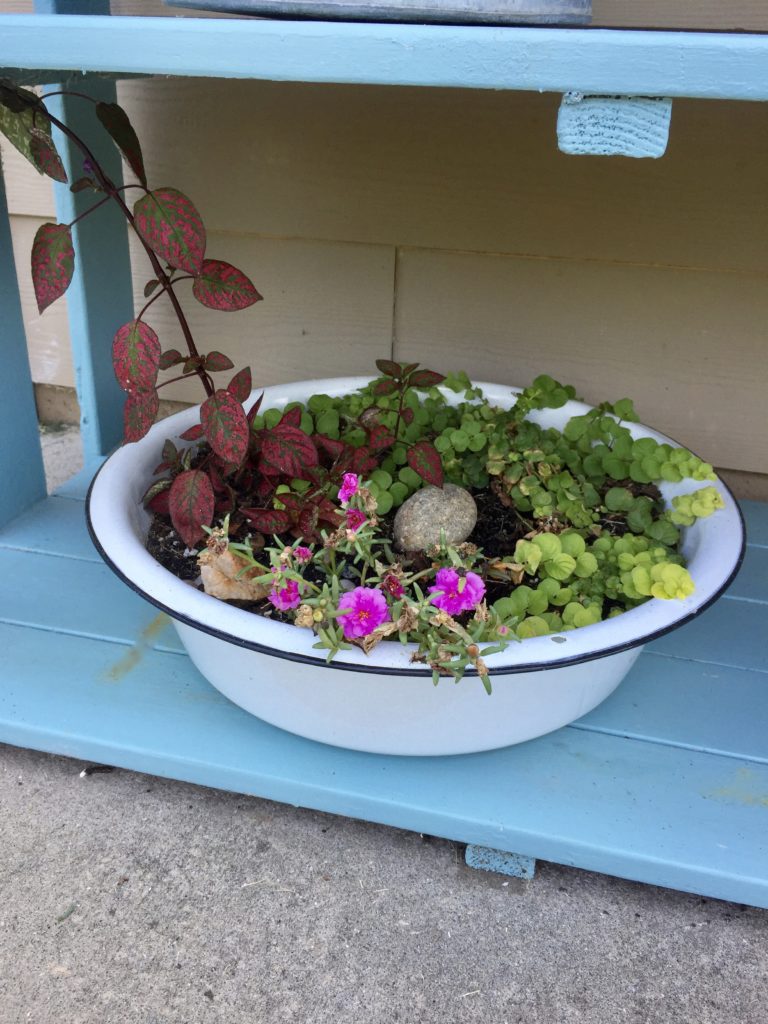 Make your own planter with vintage enamelware for farmhouse style 