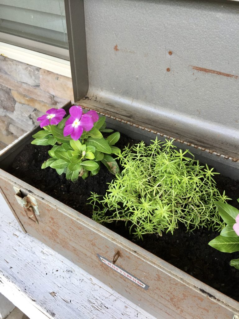 A craftsman toolbox turned into a planter box with dark soil, bright green foliage, and purple flowers inside.
