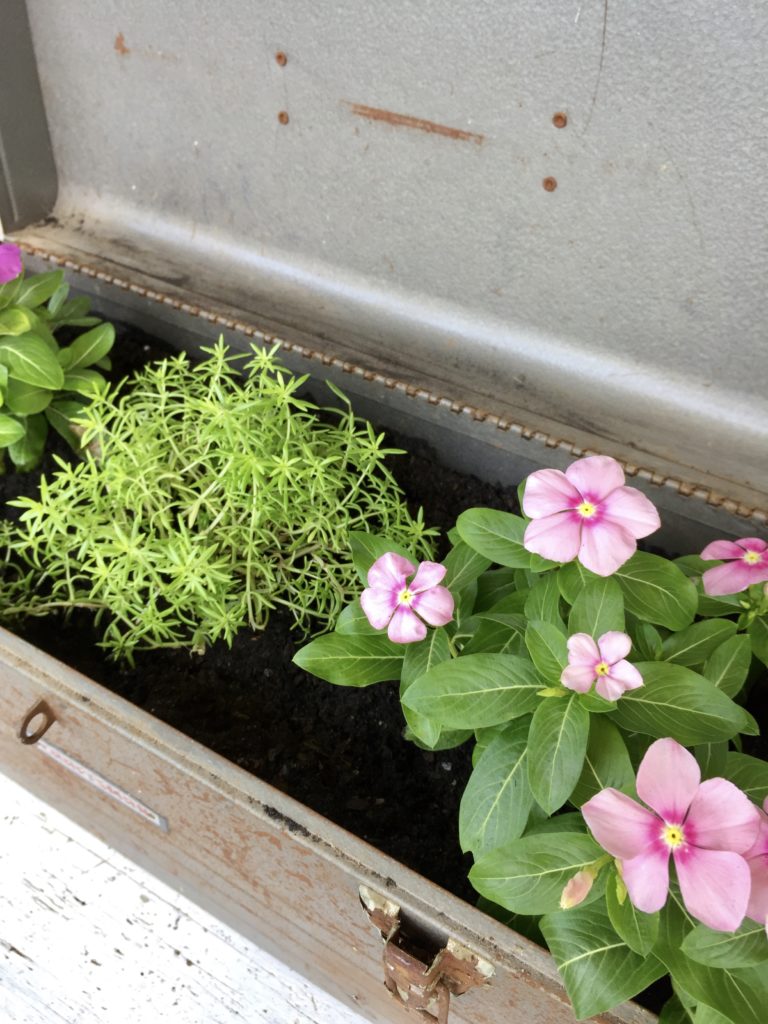 Farmhouse style planter using a rusty craftsman toolbox with green foliage and pink flowers inside.