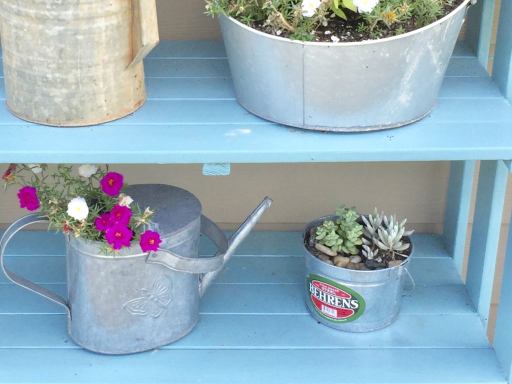 Several metal planters with flowers on a blue shelf outside.