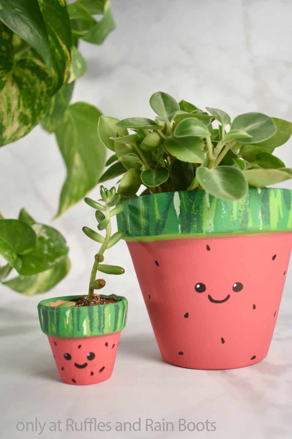Terracotta pots painted to look like watermelons with leafy plants inside.