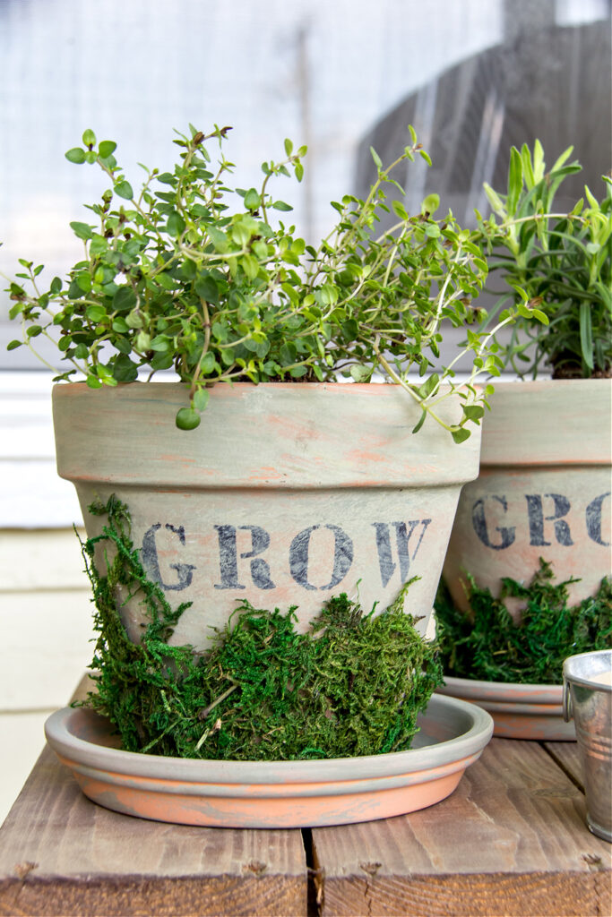 Herb pots with farmhouse paint design and moss decoration.