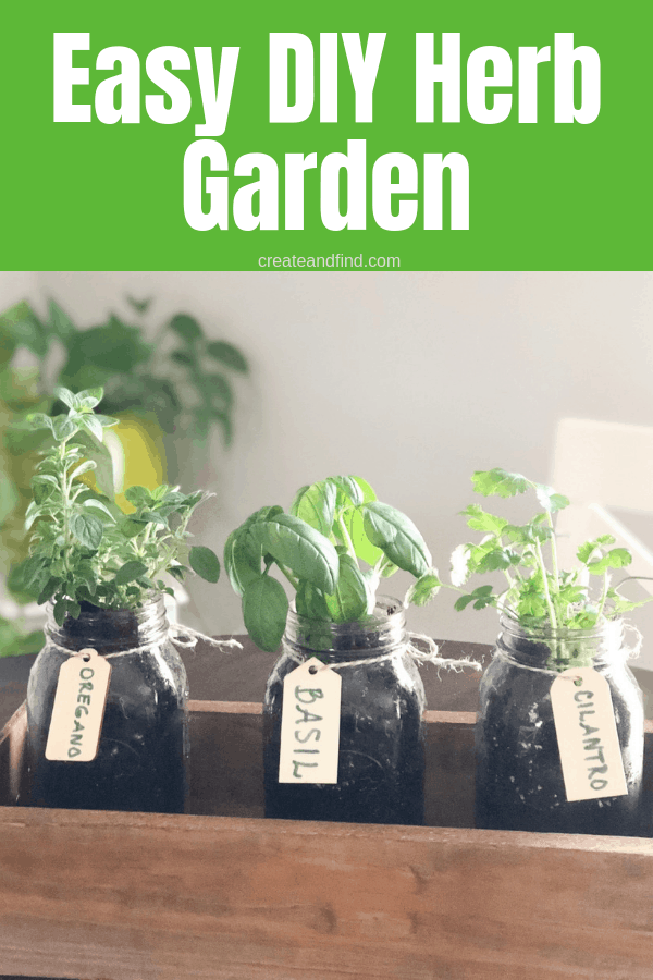 Pinterest graphic with text that reads \"Easy DIY Herb Garden\" and oregano, basil, and cilantro growing in glass mason jars.