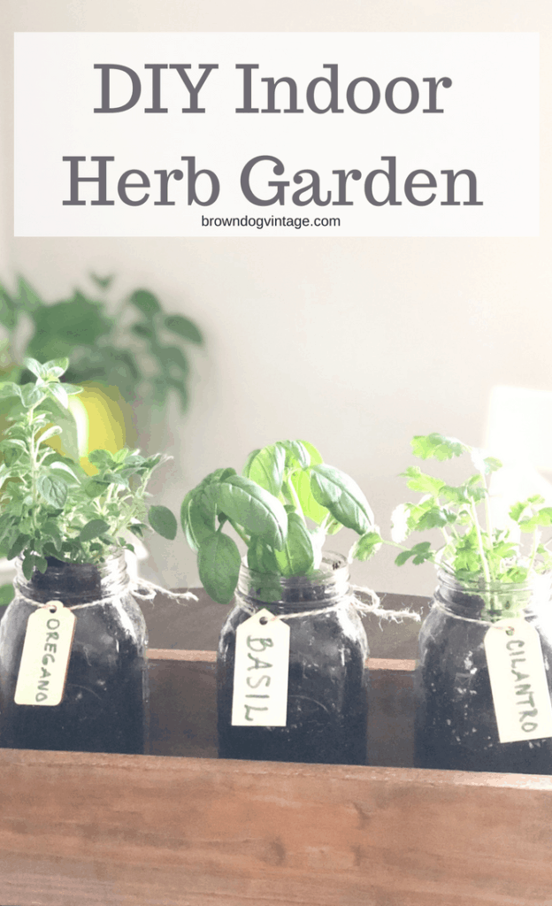 DIY Indoor Herb Garden - How To Make Your Own