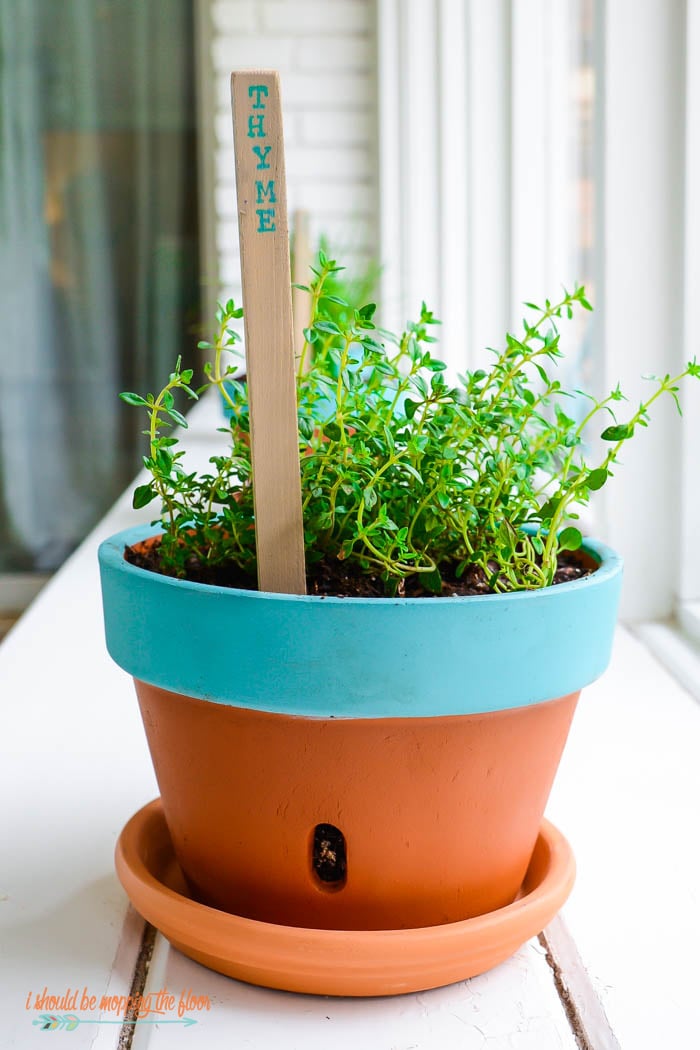 Herbs in a terra cotta pot with a wooden marker that says "thyme".