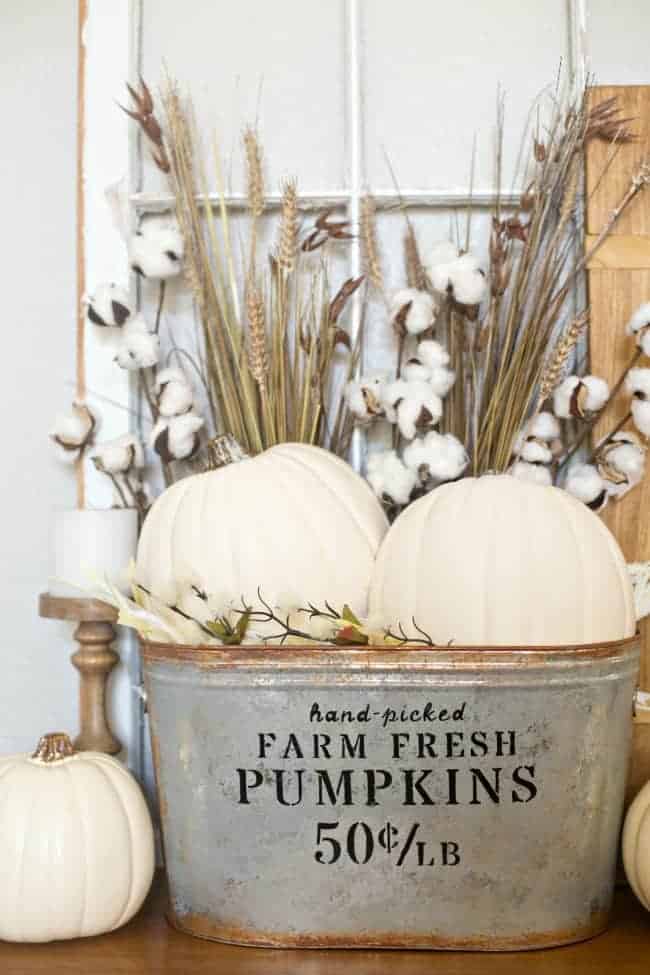 White pumpkins, wheat and cotton in a rustic metal container that says \"hand-picked farm fresh pumpkins\" in black letters.