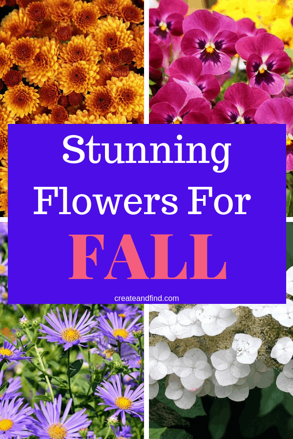 Pinterest graphic with text that reads \"Stunning Flowers for Fall\" and a collage of colorful fall flowers.