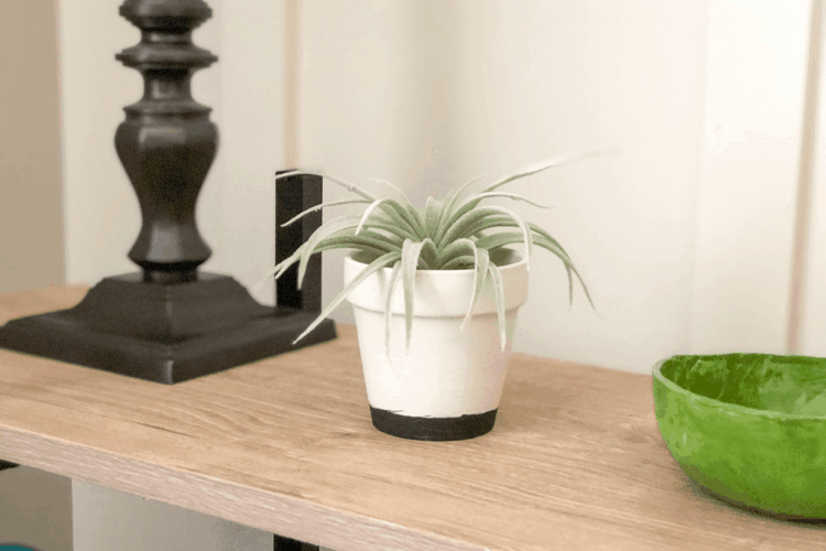 A white and black planter with a green plant growing inside on a wooden table indoors.