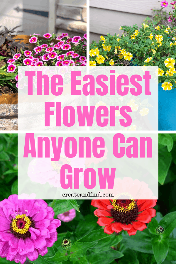 Pinterest graphic with text that reads \"The Easiest Flowers Anyone Can Grow\" and a collage of colorful flowers.