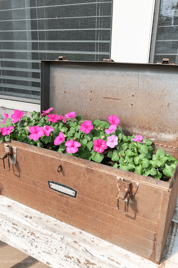 Pink impatiens grow in a chest outside on a porch.