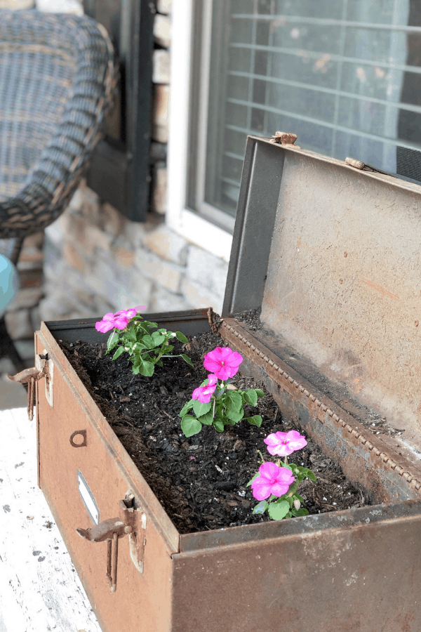 Vintage toolbox used for a planter with pink flowers on a front porch during summer.