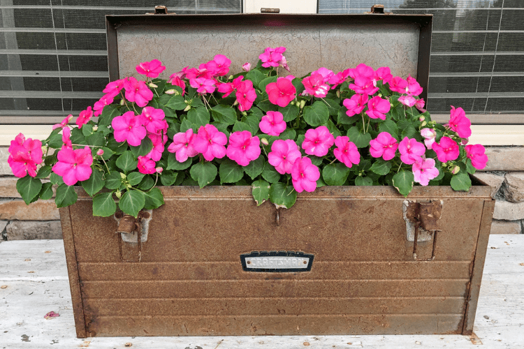 Planter with flowers