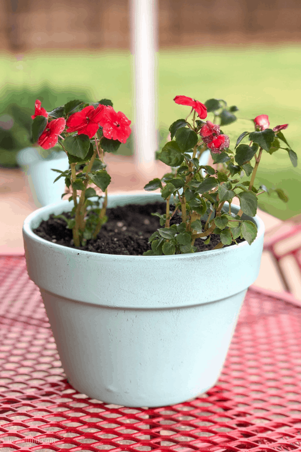 Decorative planters painted with spray paint