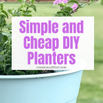 Image with text: Simple and cheap DIY planters