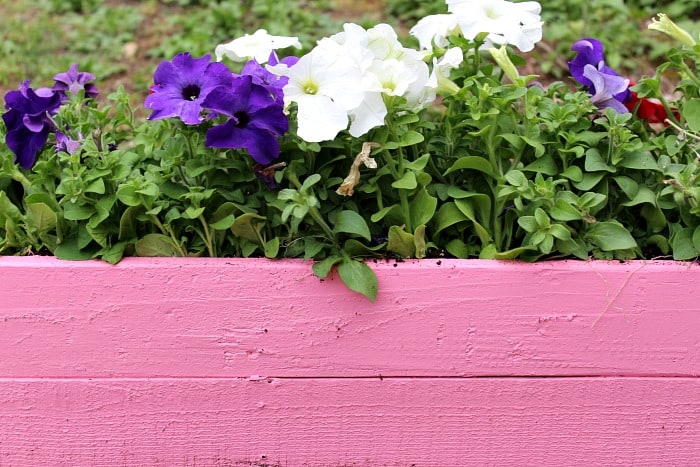 Pallet planter box