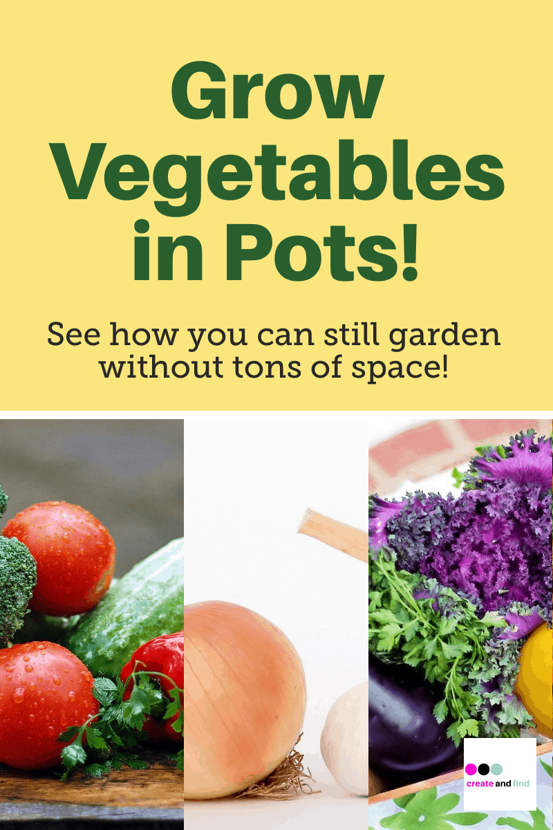 The Perfect Garden Vegetables to Grow In Pots
