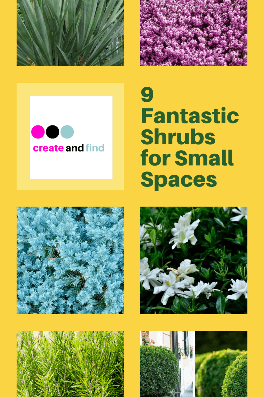 9 Fantastic Shrubs for Small Spaces