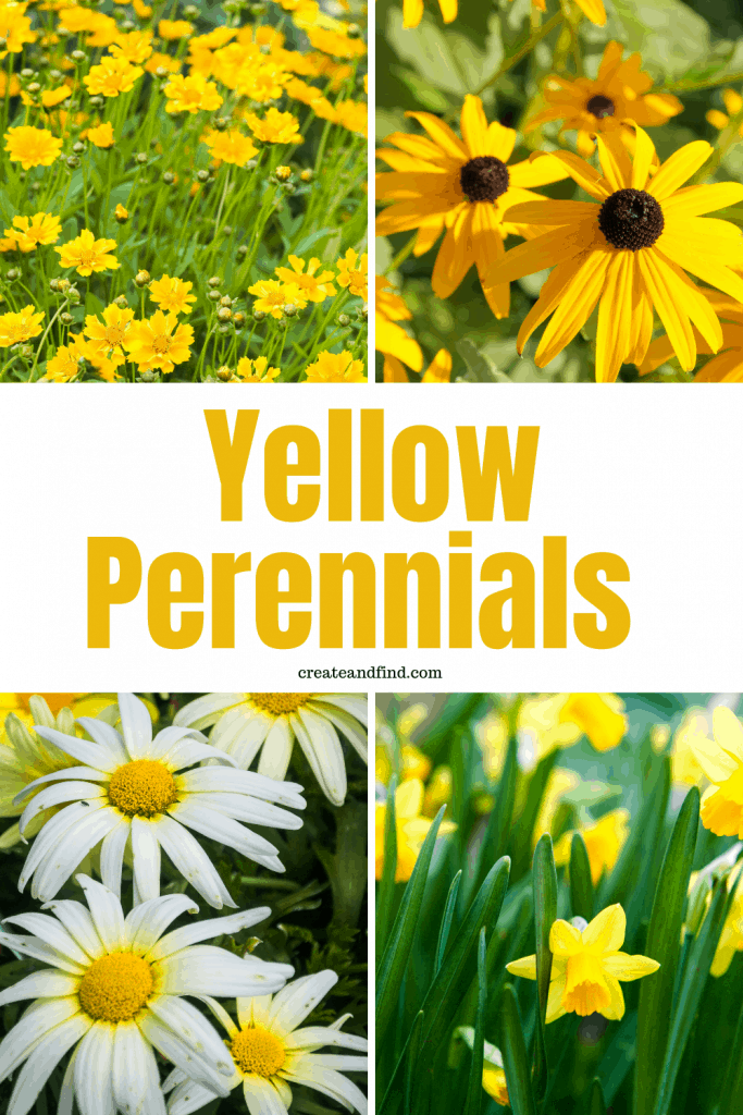 Image with text: Yellow perennials