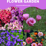Image with text: How to Grow A Cut Flower Garden for Beginners