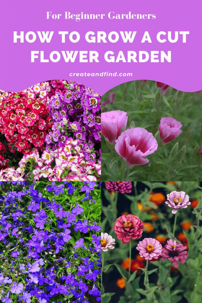 Image with text: How to Grow A Cut Flower Garden for Beginners