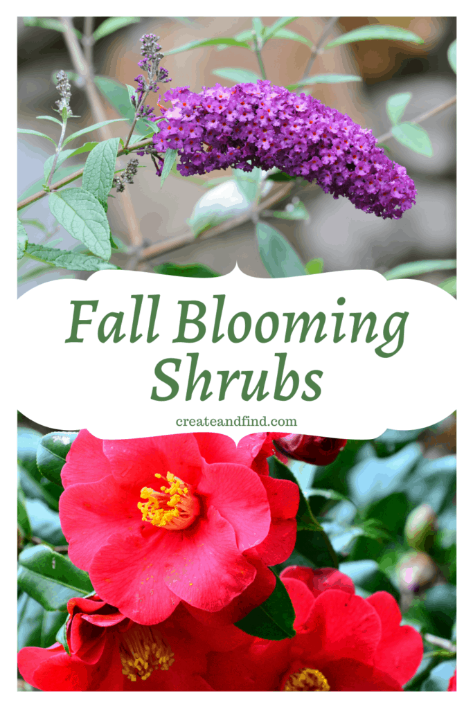 Image with text: Fall blooming shrubs