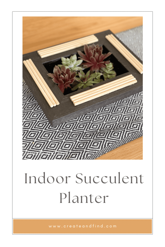 Image with text: Indoor Succulent Planter Ideas