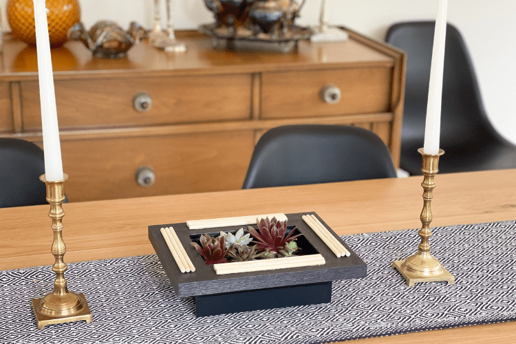 Tabletop indoor succulent planter with plants