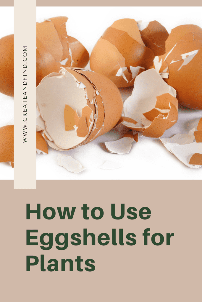 Image with text: How to use Egg Shells for Plants