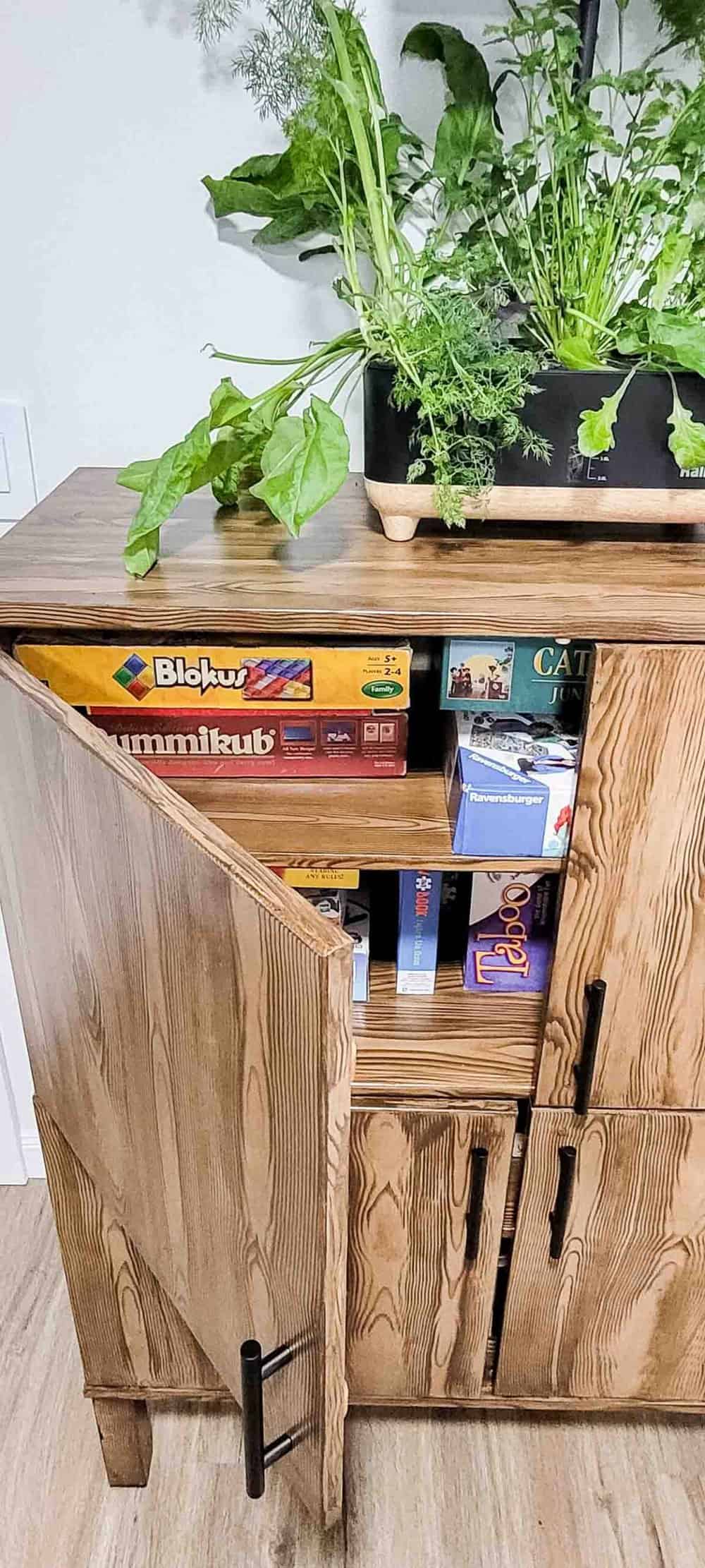 DIY Cabinet Makeover — No Sanding, No Mess!