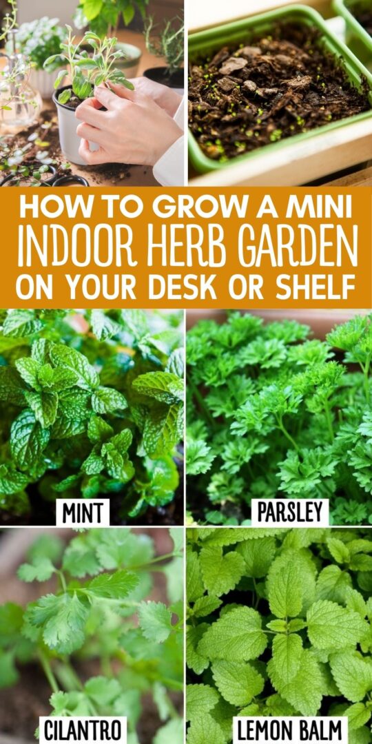 Image showcasing Indoor Herb Garden Planter Set with Tray, Metal Windowsill Plant Pots ...