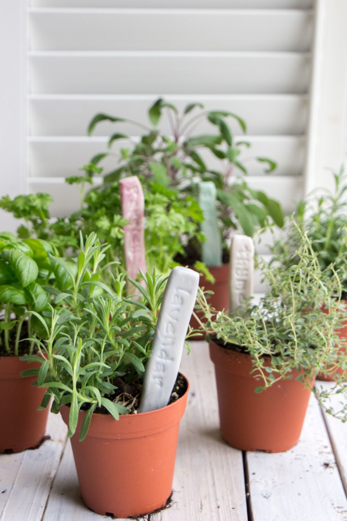 Air dry clay herb markers in an indoor herb garden.