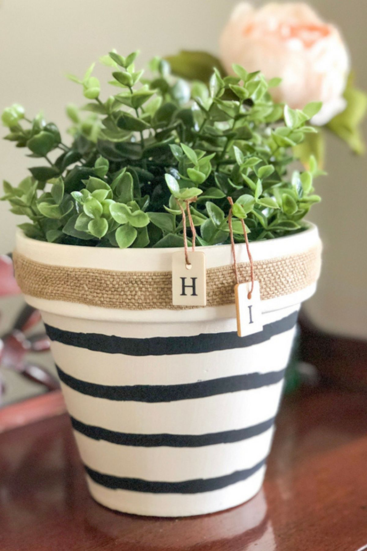 A black and white striped painted terra cotta pot with greenery inside.