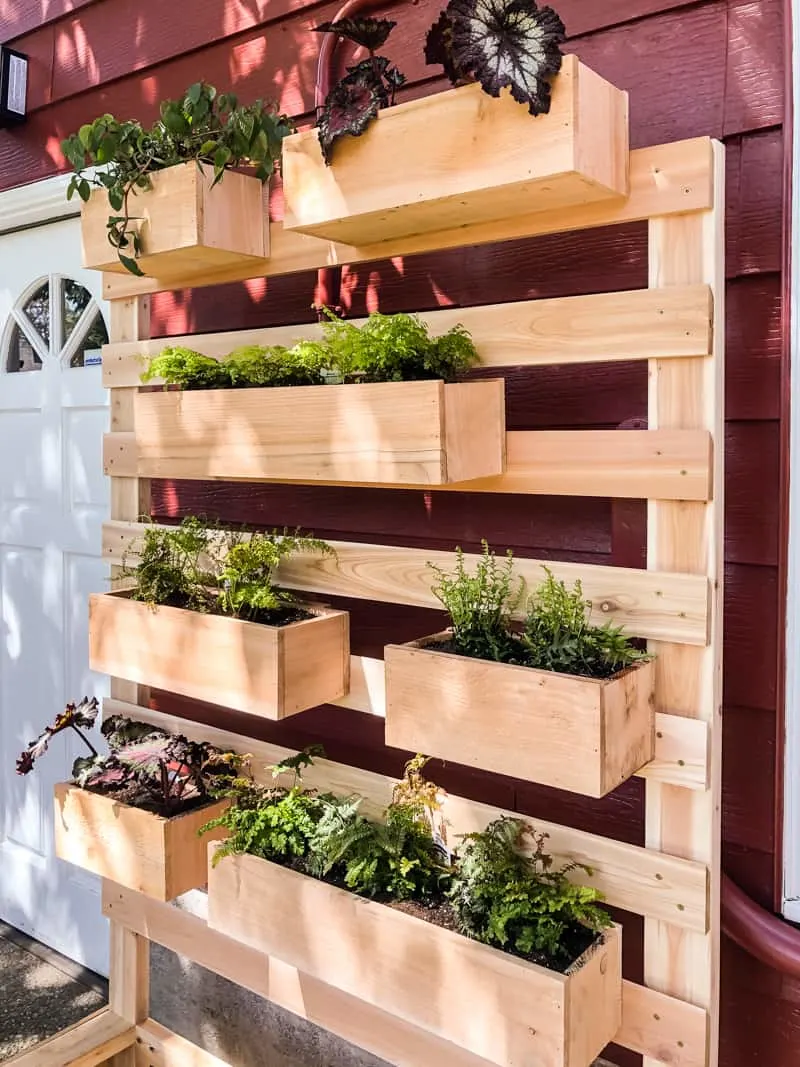 DIY vertial planted with flower boxes on the outside wall of a shed.