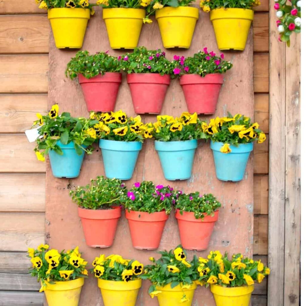 Planter pots wall outside with yellow, red, and blue pots.,