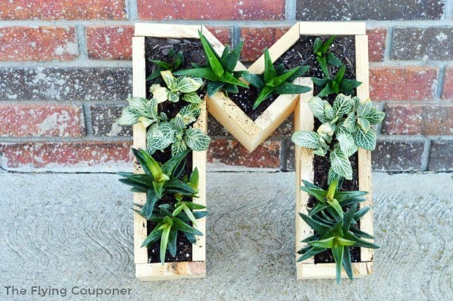 M-shaped DIY wood planter with green plants inside.